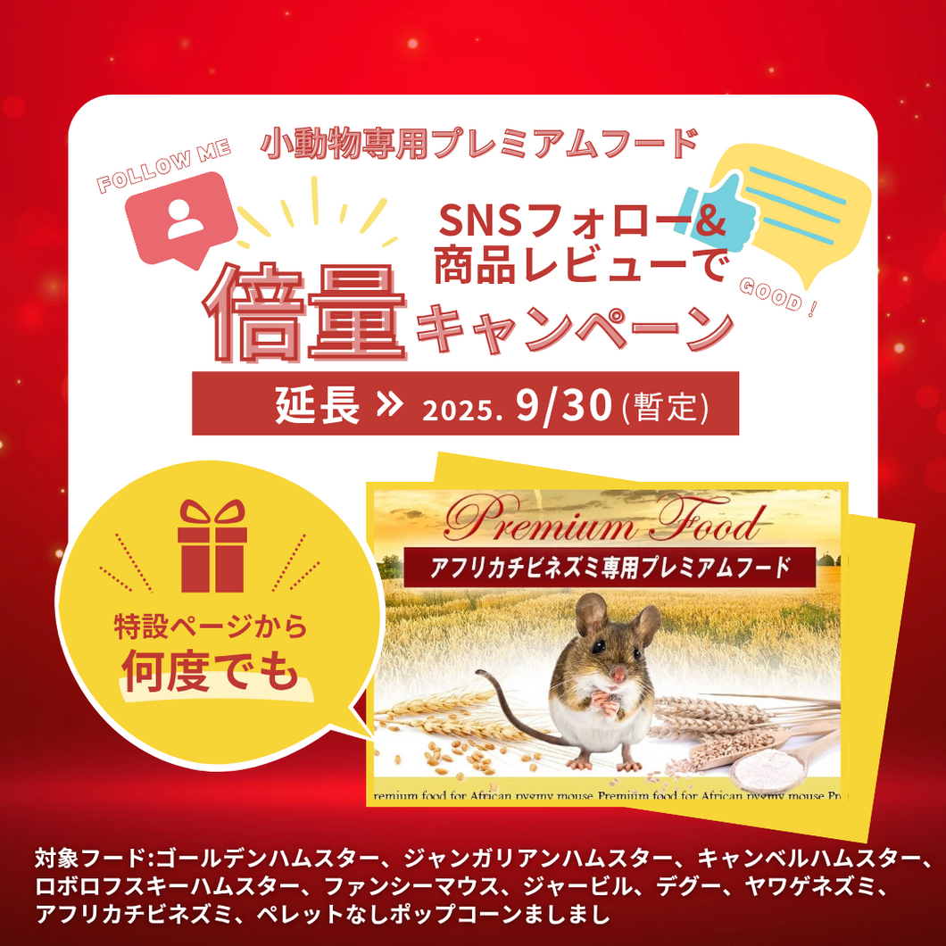 SNS倍量キャンペーン<アフリカチビネズミ専用プレミアムフード>