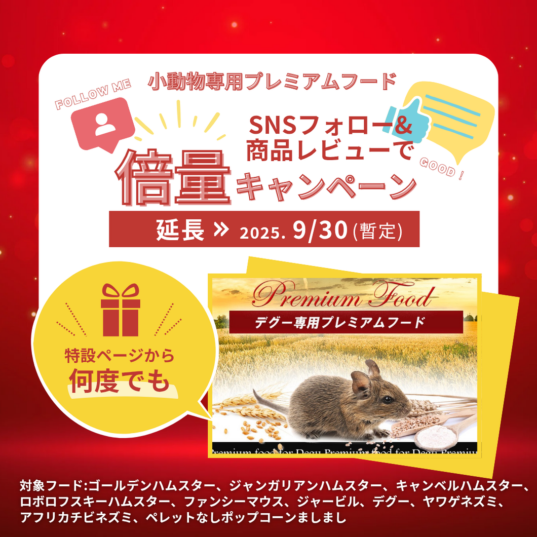 SNS倍量キャンペーン<デグー専用プレミアムフード>