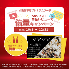 画像をギャラリービューアに読み込む, 倍量ポップコーンましまし(～12/31まで)